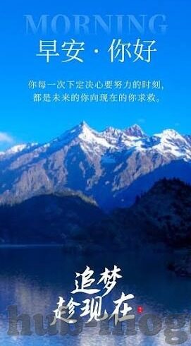91麻豆精东果冻天美传媒老狼-解锁新媒体的魅力，老狼在91麻豆精东果冻天美传媒的勇敢旅程