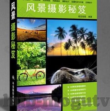 大象传媒抖音版视频-大象传媒抖音版视频，创意与传播的双重盛宴