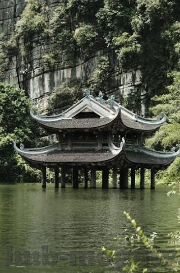 果冻传媒免费观看第3集-探索果冻传媒，免费观看第3集的奇妙之旅