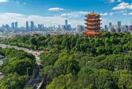 韩国伦理电影在线-韩国伦理电影的在线探索，人性、社会与艺术的交织