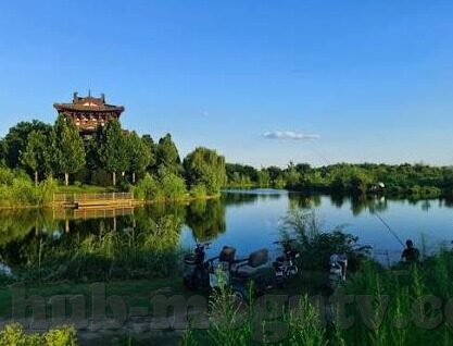 麻豆av传媒-麻豆——AV传媒内容背后的多维度考察