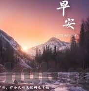 麻豆不卡视频在线观看-品鉴视觉盛宴，麻豆不卡的高清视频体验