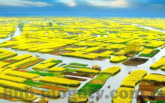 麻豆社区app-Madoo社区app，内容与体验并蓄的数字化娱乐新平台