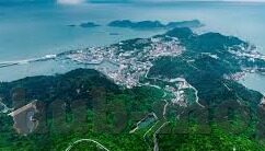 美国发布发站大象传媒-探索美国发布发站大象传媒的背后动因与影响